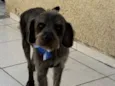 Lúcio