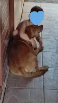 Scooby 