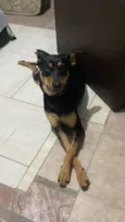 Maya