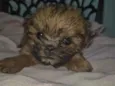 Bebê