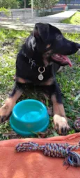 Zeus