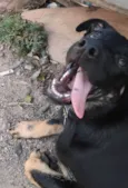 Zeus