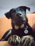 Zeus