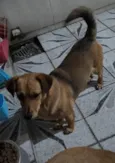 Mel