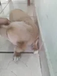 Lili