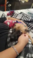 Nina