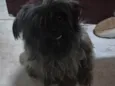Kemy