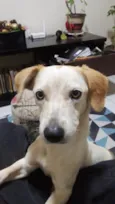 Belinha