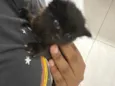 Mia