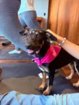 Zoe