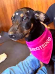 Zoe