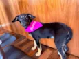 Zoe
