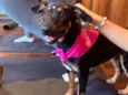 Zoe