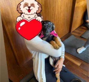 Cachorro raça SRD-ViraLata idade 2 a 6 meses nome Suri