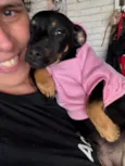 Suri
