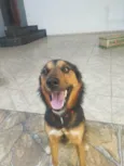 Koda