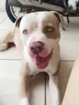 Eros 