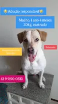 Costela