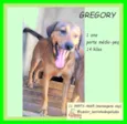 Gregory