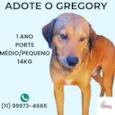 Gregory