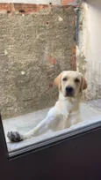 Marley
