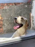 Marley