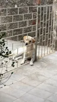 Marley