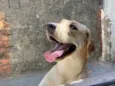 Marley