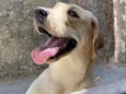 Marley
