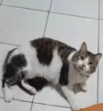 BONITÃO