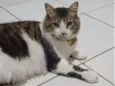 BONITÃO