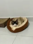 Miguel