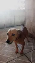 Mel