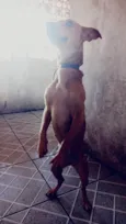 Mel