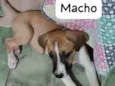Zeca
