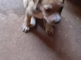 Esperança