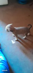 Esperança