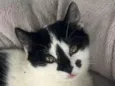 Nick