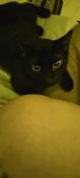 Joaquim