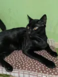 Joaquim