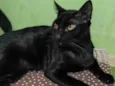 Joaquim