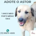 Astor 