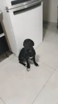 Spaike