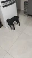 Spaike