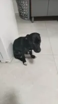 Spaike