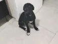 Spaike