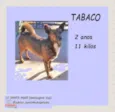 Tabaco