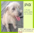 Spaik
