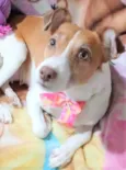 Samira