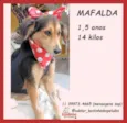 Mafalda